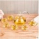 Heat Resistant Glass Thickened Glass Flower Teapot Set Fruit Tea High Handle Pot