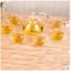 Heat Resistant Glass Thickened Glass Flower Teapot Set Fruit Tea High Handle Pot